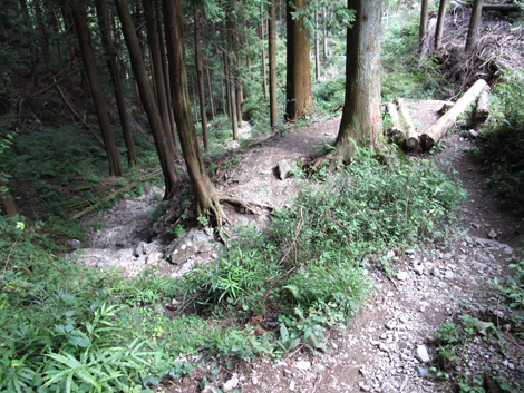 20150929hike (283)